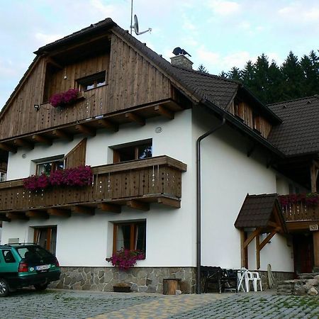 Apartmany U Vacu Železná Ruda Zewnętrze zdjęcie