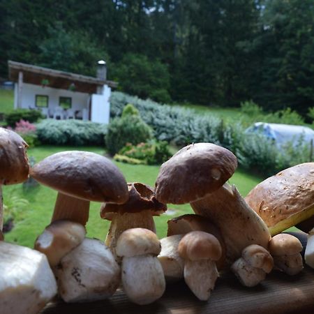 Apartmany U Vacu Železná Ruda Zewnętrze zdjęcie